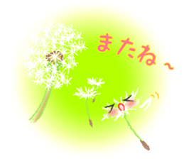Flowers and Messages sticker #12503804