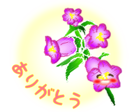 Flowers and Messages sticker #12503806