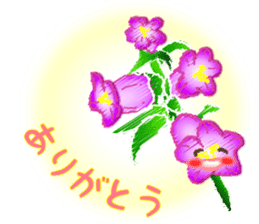 Flowers and Messages sticker #12503806