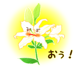 Flowers and Messages sticker #12503812