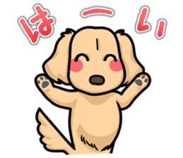 I Love Dachshund (Cream) sticker #12507894