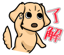 I Love Dachshund (Cream) sticker #12507896