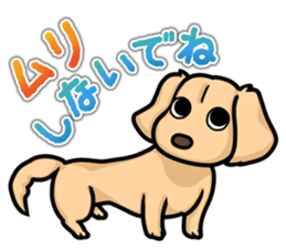 I Love Dachshund (Cream) sticker #12507910