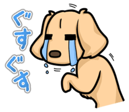 I Love Dachshund (Cream) sticker #12507913