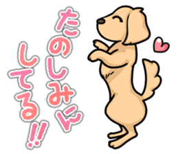 I Love Dachshund (Cream) sticker #12507926