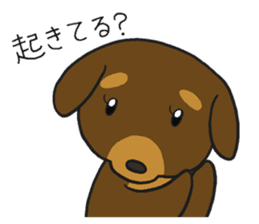 Modest dog3 sticker #12509728