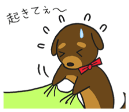 Modest dog3 sticker #12509729