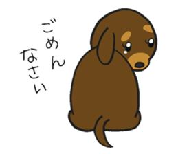 Modest dog3 sticker #12509736