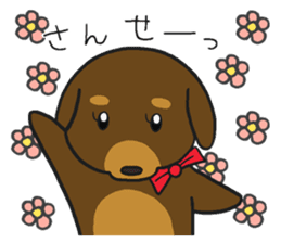 Modest dog3 sticker #12509747