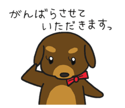 Modest dog3 sticker #12509757