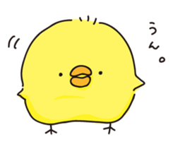 piyopiyochan sticker #12510797