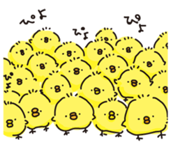 piyopiyochan sticker #12510801