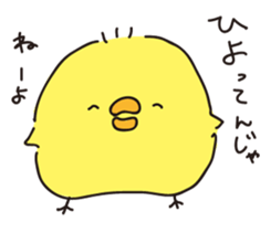 piyopiyochan sticker #12510815