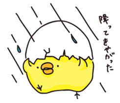 piyopiyochan sticker #12510826