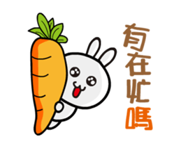 Happy rabbit __dynamic mapping articles sticker #12511310