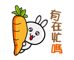 Happy rabbit __dynamic mapping articles sticker #12511310