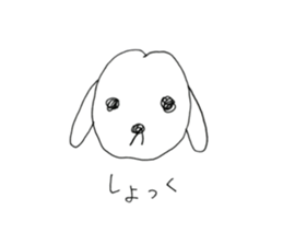 two maltese sticker #12511739