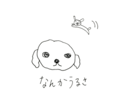 two maltese sticker #12511744