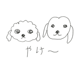 two maltese sticker #12511756