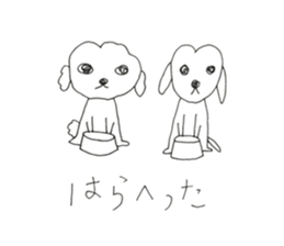 two maltese sticker #12511757