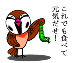 Pleasant sparrow sticker #12511910