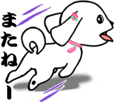 SUMOMO dog sticker #12512727