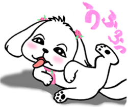 SUMOMO dog sticker #12512732
