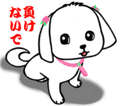 SUMOMO dog sticker #12512761