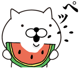 White Ball Cats 2nd. sticker #12514607