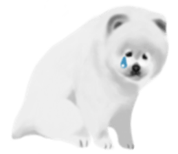 Baby of the animals sticker #12515020