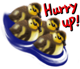 Baby of the animals sticker #12515047