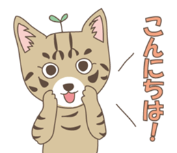 Brown tabby cat !! ver.6 sticker #12515055