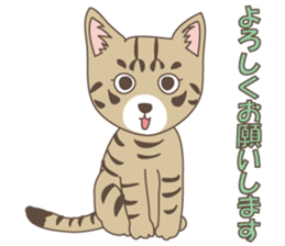 Brown tabby cat !! ver.6 sticker #12515057