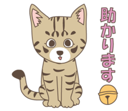 Brown tabby cat !! ver.6 sticker #12515059