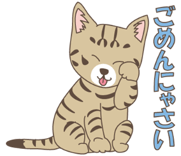 Brown tabby cat !! ver.6 sticker #12515060