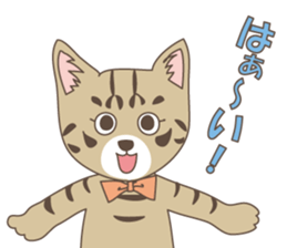 Brown tabby cat !! ver.6 sticker #12515061