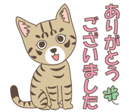 Brown tabby cat !! ver.6 sticker #12515062