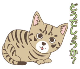 Brown tabby cat !! ver.6 sticker #12515067