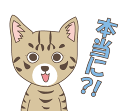 Brown tabby cat !! ver.6 sticker #12515070