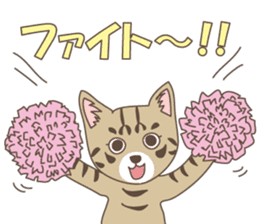 Brown tabby cat !! ver.6 sticker #12515071