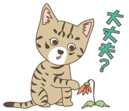 Brown tabby cat !! ver.6 sticker #12515073