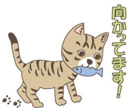 Brown tabby cat !! ver.6 sticker #12515076