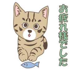 Brown tabby cat !! ver.6 sticker #12515077