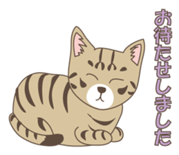 Brown tabby cat !! ver.6 sticker #12515078
