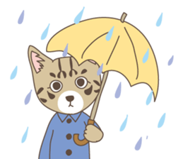 Brown tabby cat !! ver.6 sticker #12515085