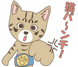 Brown tabby cat !! ver.6 sticker #12515087