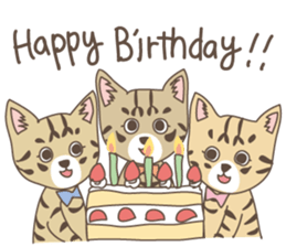 Brown tabby cat !! ver.6 sticker #12515089