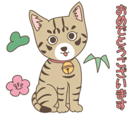 Brown tabby cat !! ver.6 sticker #12515090