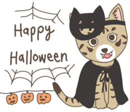 Brown tabby cat !! ver.6 sticker #12515092