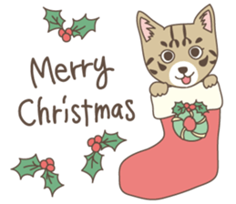 Brown tabby cat !! ver.6 sticker #12515093